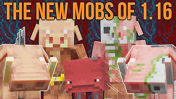 Minecraft 1.16 De nieuwe Mobs of the Nether-update [Minecraft Myth Busting 126]