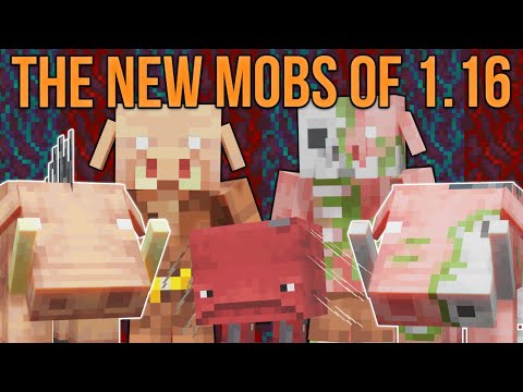 Minecraft 1.16 The