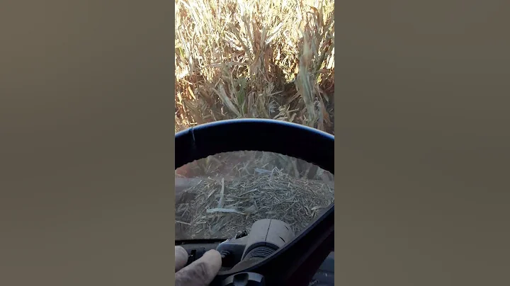 2021 Harvest