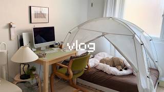 living alone diaries | winter prepping my room, grocery hoarding, baking madeleines, job seeker life