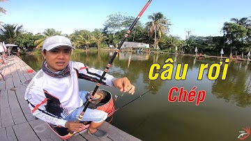 FISHING . CHIA SẺ CÁCH CÂU RƠI CÁ CHÉP HỒ DỊCH VỤ HIỆU QUẢ