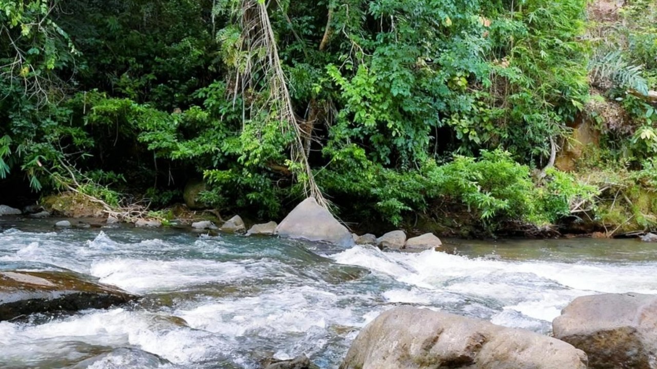 Serene River Flow Sounds 🌿 Natural White Noise for Calm