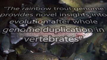 Whole Genome Duplication, Common Descent Savior? Answering the Critics