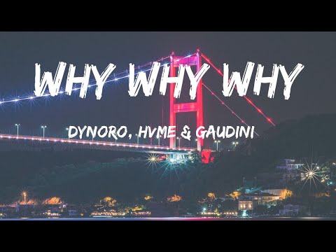 Dynoro, HVME & Gaudini - WHY WHY WHY (Lyrics)
