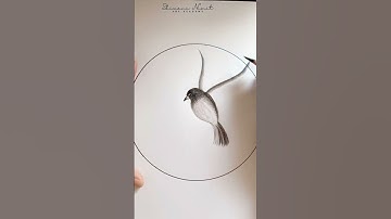 How to draw flying bird●sketching tutorial#shorts#viral