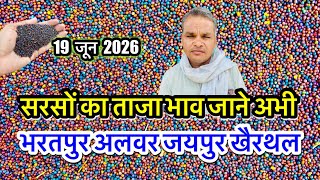 सरसों में जबरदस्त तेजी, गेहूँ सरसों में उछाल, सरसों का ताजा भाव आज अलवर मंडी! Sarson Ka Bhav Today |