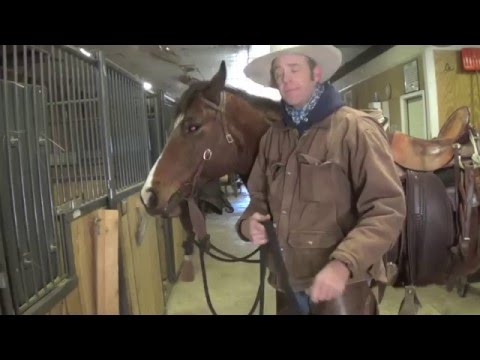 How to Tie a horse with a Mecate Rein 