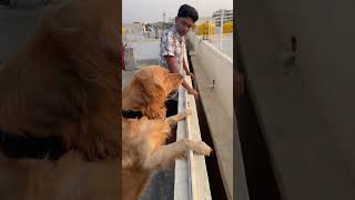 Donga Dorkadu Happy Life Updates Kosam Follow Cheyandi Frnds