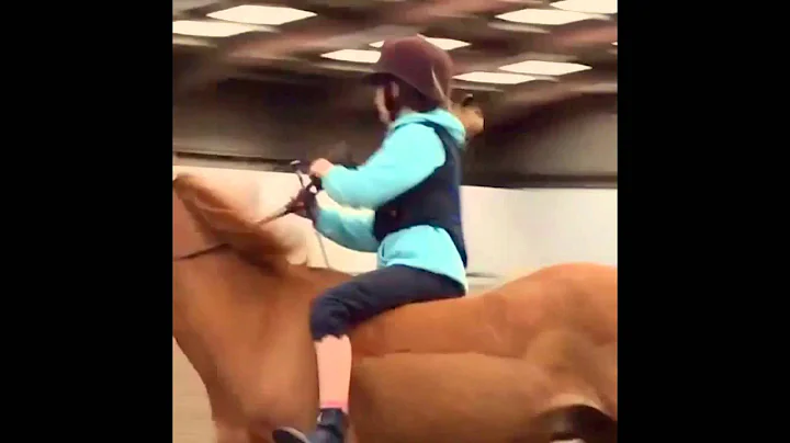 ѕє¢σи∂ νι∂єσ ❤️ ωнαт ∂σ уσυ тнιик ?