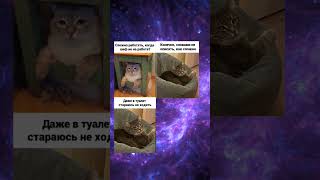 мемы #39 #mem #meme #tiktok #мем #мемы #прикол #рек #рекомендации #смешно #memes