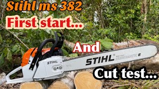 CHAINSAW STIHL MS 382 setup | first start and cut test