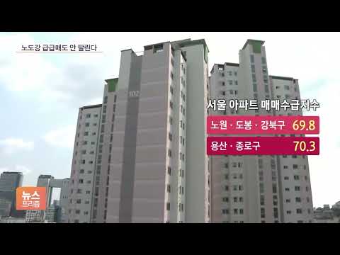 &amp;#39;노도강&amp;#39; <strong>매수심리</strong> 역대 최저…&amp;#39;급급매&amp;#39;도 안 산다