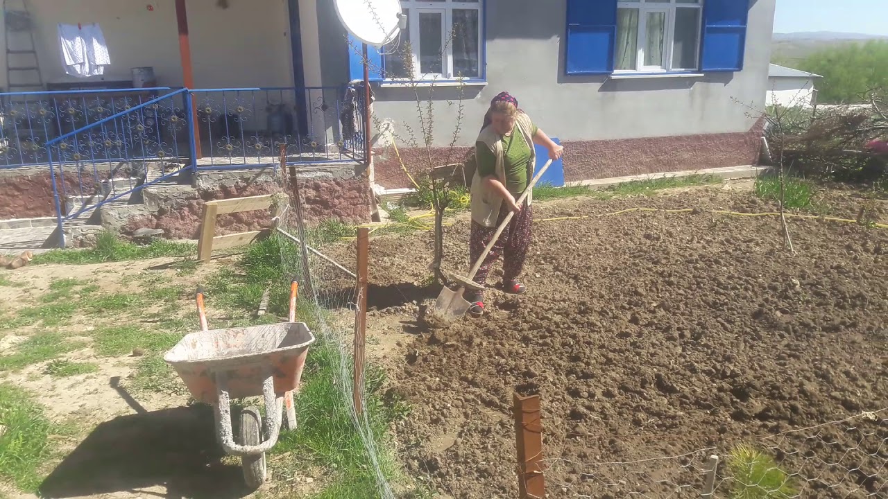 Körücek köyü şerife hanım bostan bellerken