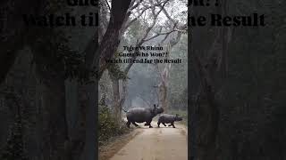 An extraordinary wildlife encounter as a rhino and a tiger come face to face in the wild 🦏🐅