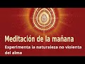 Meditación de la mañana: "Experimenta la naturaleza no violenta del alma", por Guillermo Simó.