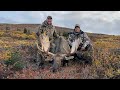 2023 british columbia moose hunt  episode 10  moose called in and he didnt get away this time 