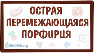 Острая перемежающаяся порфирия — причины, симптомы, патогенез, диагностика, лечение