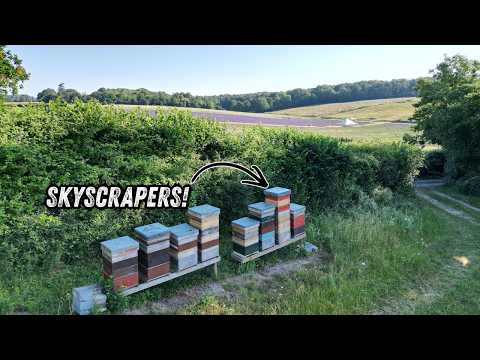 Beekeeper's TALLEST Honey Towers EVER!!