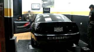 Hellion Twin Turbo Cobra