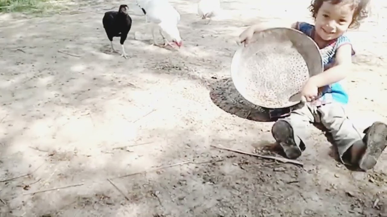 little girl feeding birds | cute babies videos | Funny babies | Funniest Moments of Cute Babies