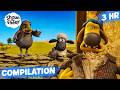 ALL SHEEP VENTURES FROM SEASON 4 SHAUN THE SHEEP 