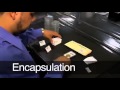 Your Coin S Journey Through NGC 