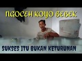 Tukang Cuci apa Bebek