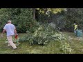Spring Cleaning in July #springcleaning #lawncare #lawnmaintenance #landscaping #transformation #ego
