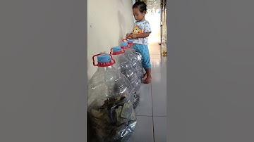 Thumbnail of belajar menabung uang receh#shorts #shortvideo