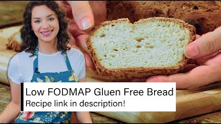 THE BEST No Knead/Gluten Free/Low FODMAP Bread