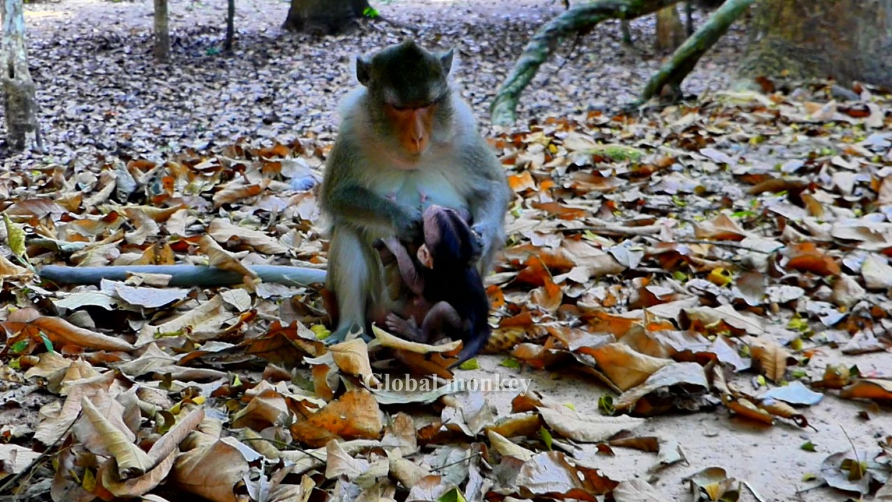 Look at me...!!! Sometimes Anna feels overwhelmed by the attention and stress of those around her