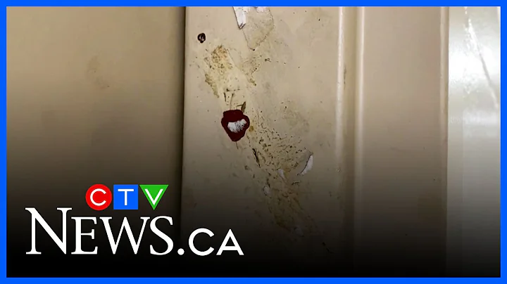 Toronto police investigating after multiple Jewish prayer scrolls stolen in North York