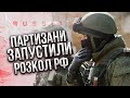 Світан: Армія вже готова! ТАТАРСТАН ЙДЕ НА ВИХІД ІЗ РОСІЇ. Партизани готують повний розвал