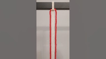 Learn This Beautiful Macramé Knot Pattern in 30 Seconds! | Macrame Tutorial #Shorts