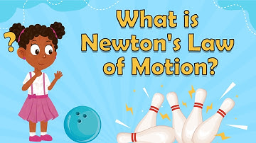 What is Newton