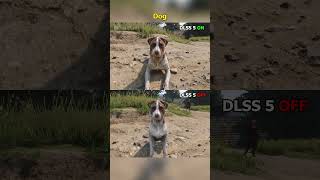 KCD2 DLSS 5 ON vs OFF Animals Comparison