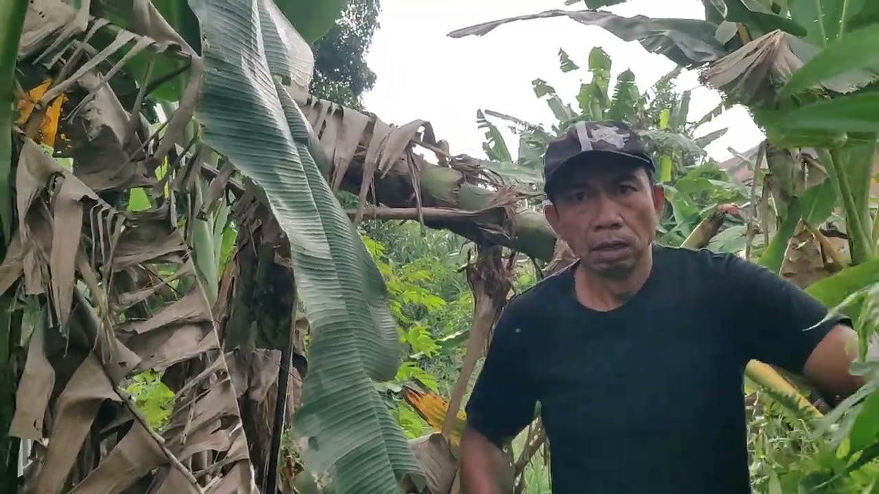 Kang Adi vanen pi$@ng