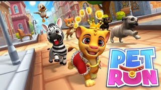 Pet Run -Puppy Dog Game 2022 || pet run game gameplay || Pet running game || screenshot 1