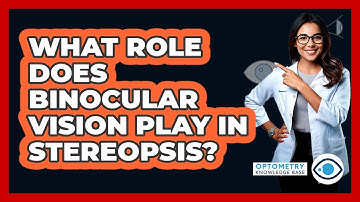 What Role Does Binocular Vision Play In Stereopsis?
