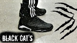 jordan 6 black cat on feet