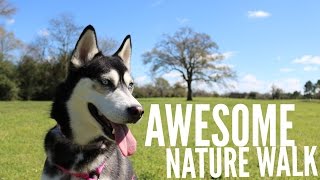 Nature Walk Husky Vlog The Ruff Life Of Luna