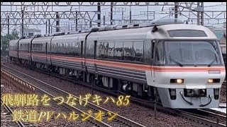 ［鉄道pv］ありがとうキハ85系特急ひだ号〜ハルジオン