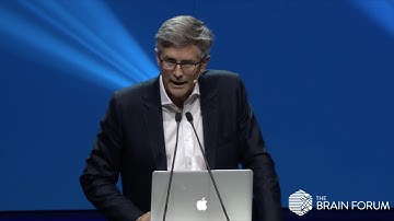 All-optical interrogation of neural circuits, Prof. Michael Häusser