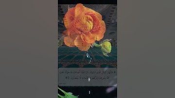 #خلفيات #دينية سورة البقرة آية 17