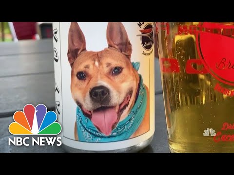 Minnesota Woman Reunites With Missing Dog Thanks To Florida Brewery | NBC Nightly News