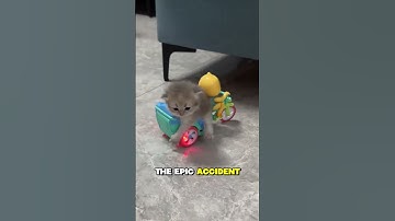 Fluffy drift 🏎️💨 An accident is inevitable!