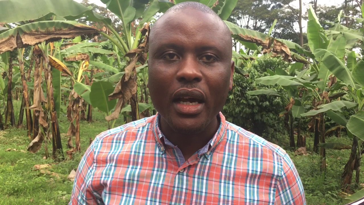 Uganda Vlog - Bugoye (The Village)