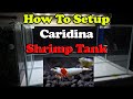 Caridina Shrimp Tank Part 1  - SL Aqua Method