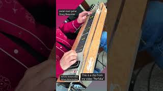 Perfidia - pedal steel guitar - Doug Beaumier