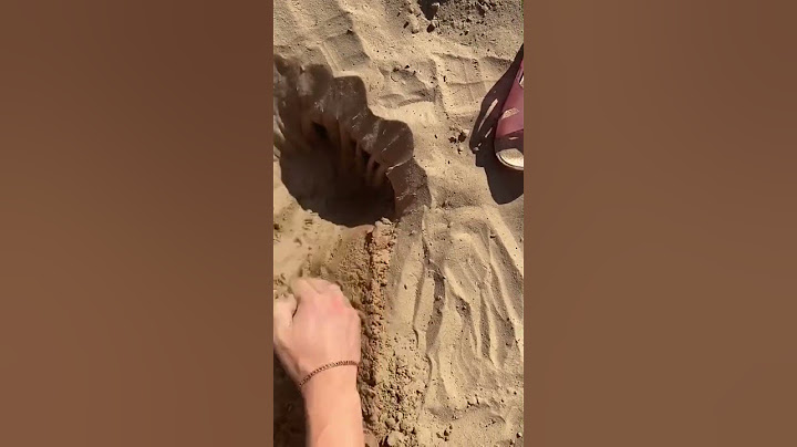 Что можно найти на пляже в писке 🤡 #shortsvideo #топ #находка